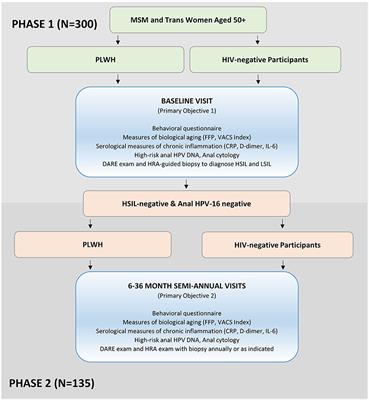 Rationale and design of the Anal HPV, HIV and Aging (AHHA) study: Protocol for a prospective study of anal HPV infection and HSIL among men who have sex (MSM) or trans women living with and without HIV, ages 50 and older